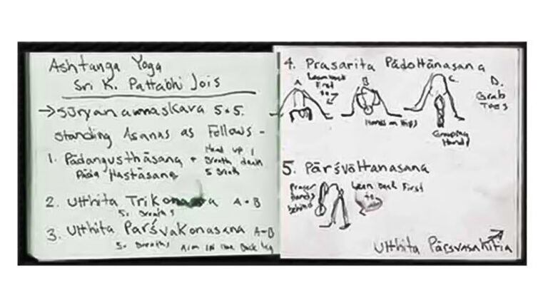 Gingi Lee Sketch Book