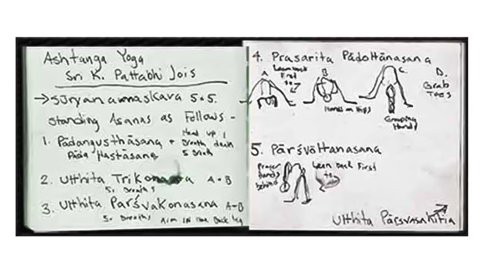 Gingi Lee Sketch Book