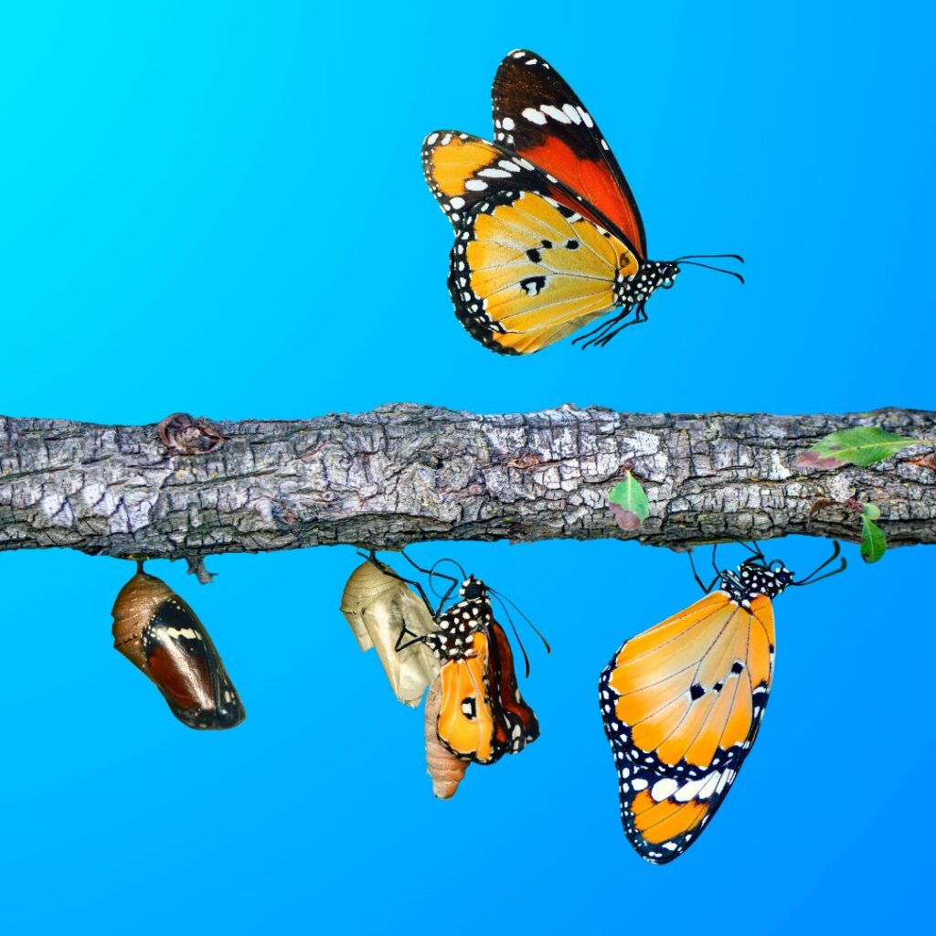 Yoga-Teacher-Training-Transformation