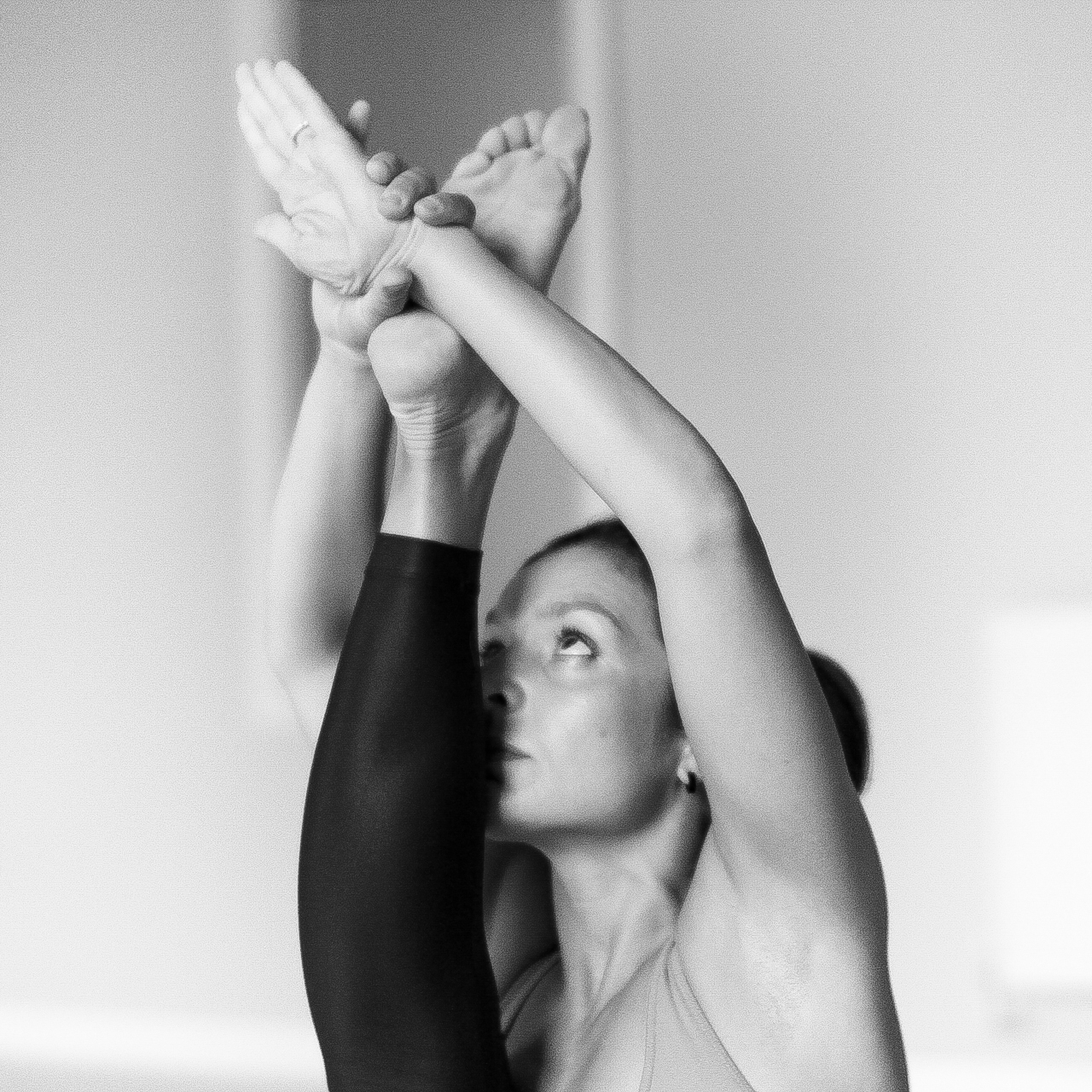 Yoga Anatomy